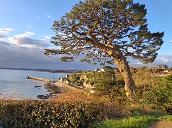 Photo n° 23 de la location