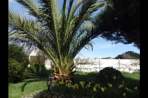 Photo n° 9 de la location