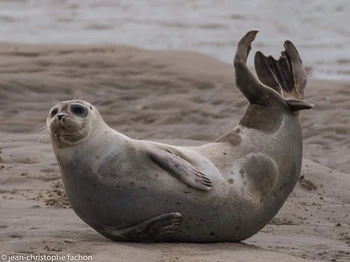 Photo n° 24 of the location