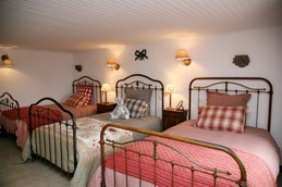 Gîte La Grimaudière avec piscine chauffée 2500m2 de terrain entre Lyon et Grenoble