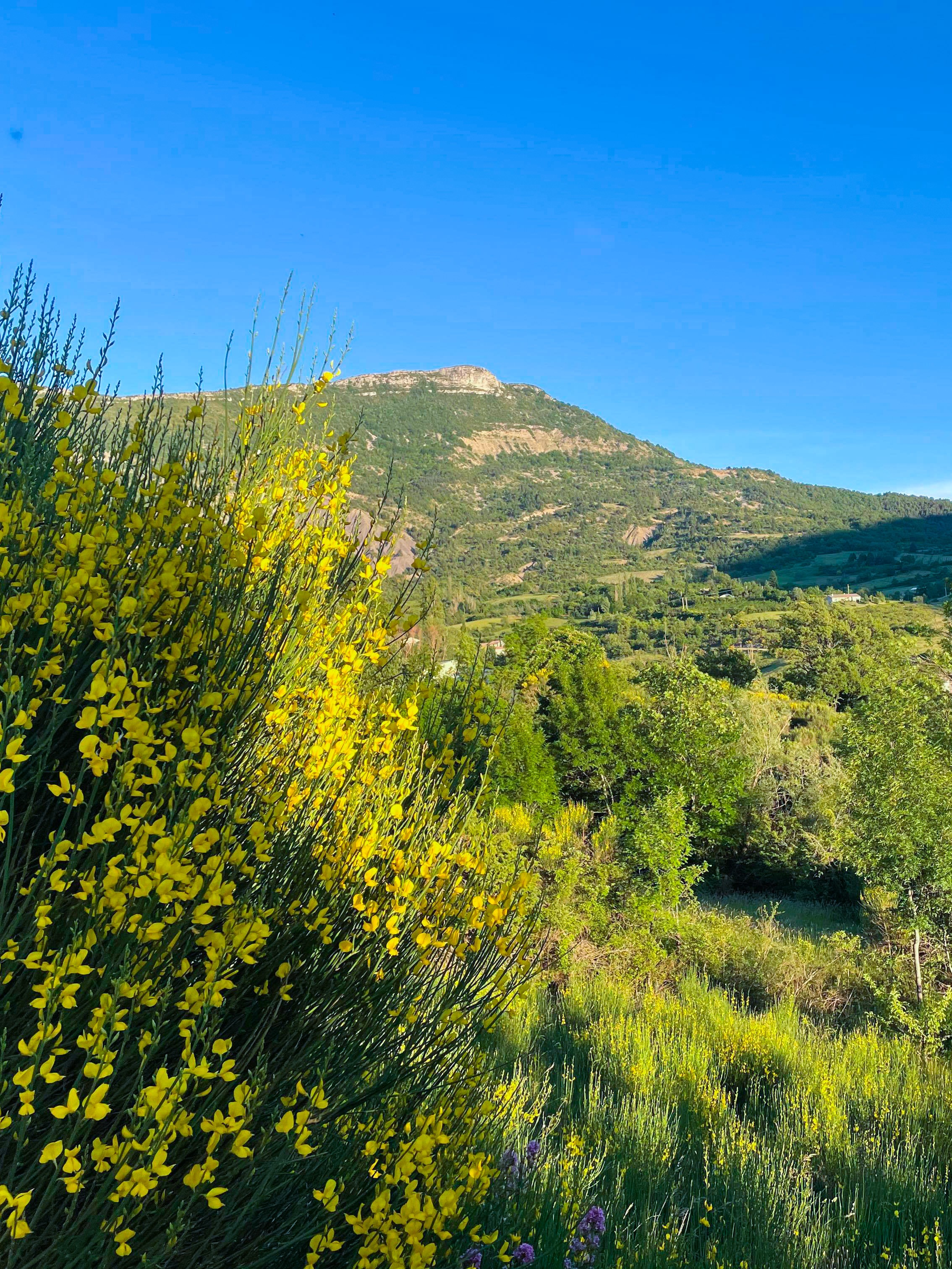 Photo n° 19 of the location