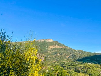 Photo n° 19 of the location