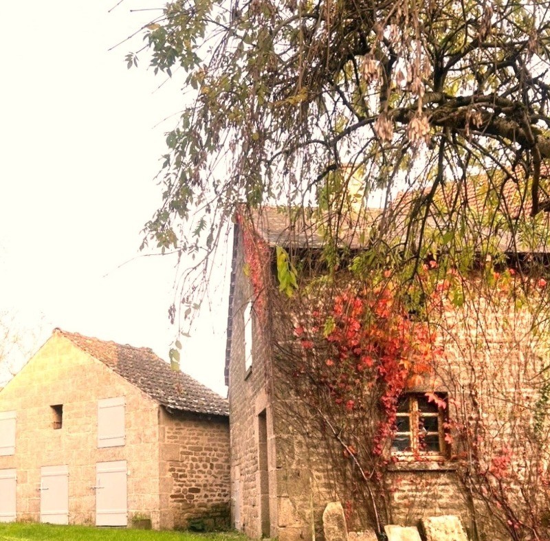 Jardin arboré HAUTE VIENNE 87 Bersac sur Rivalier Gîte Chez Charles