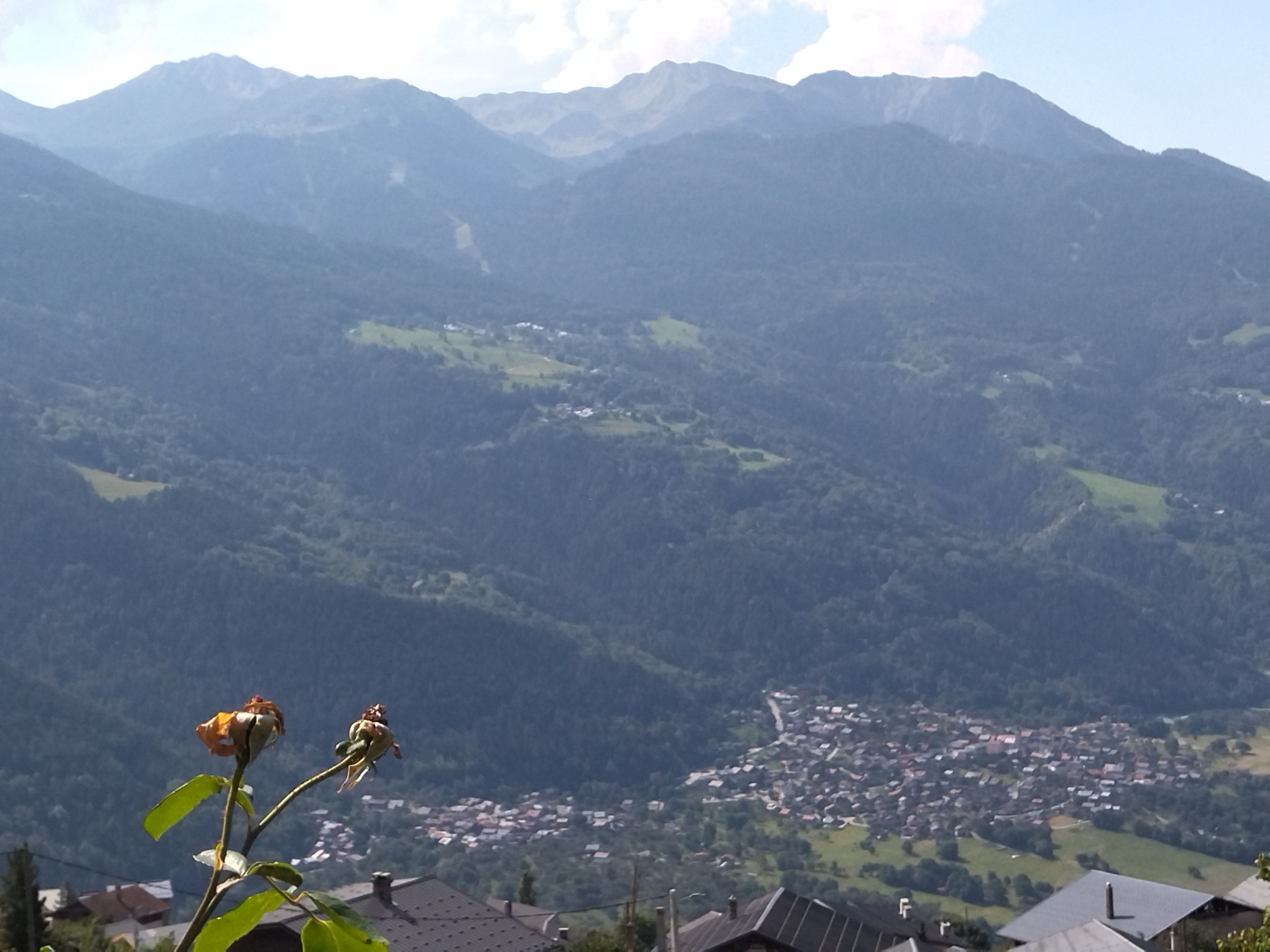 Vue de la terrasse