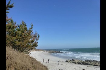 Photo n° 13 de la location