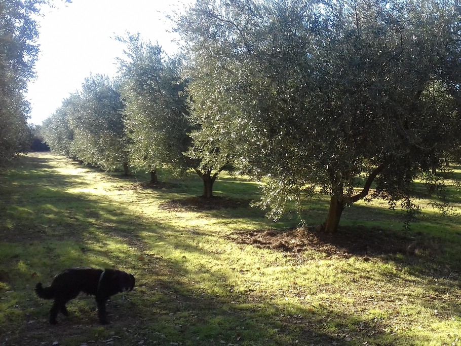 Photo n° 8 de la location