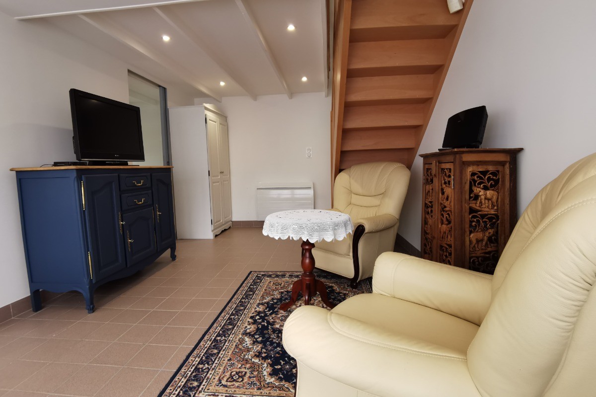 Salon avec TV