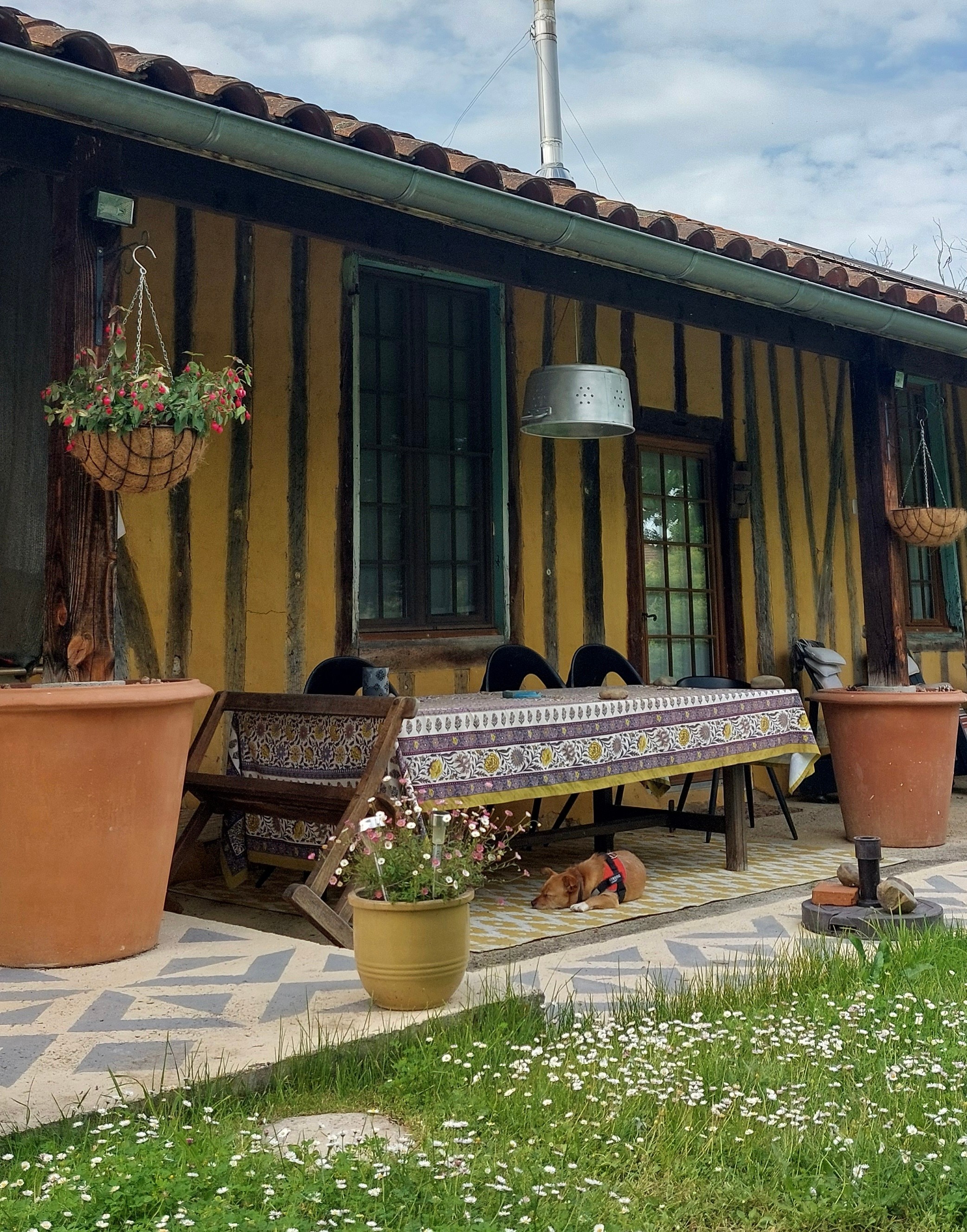 Vue terrasse ombragée