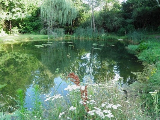 Photo n° 27 de la location