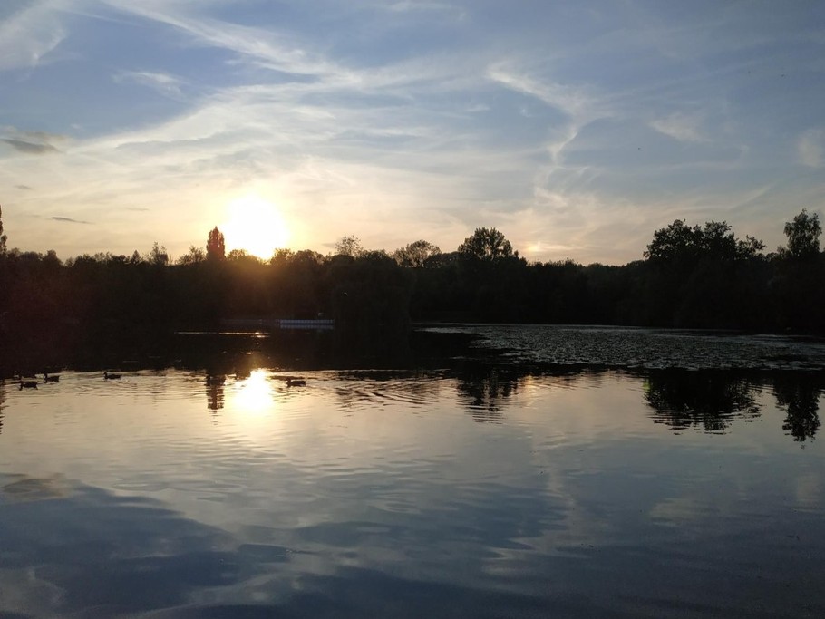 Photo n° 3 de la location