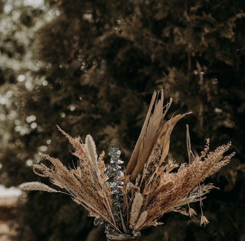 Ambiance - Château-ferme d'Aboncourt
