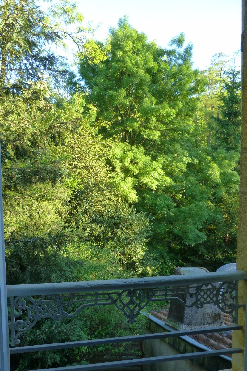 Photo n° 10 of the location