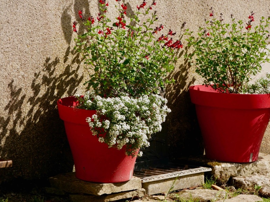 Photo n° 3 of the location