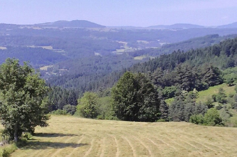 Photo n° 15 of the location
