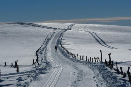Cross-country skiing