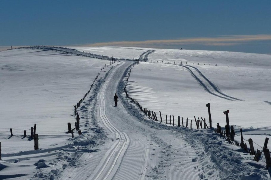Randonnée en ski de fond