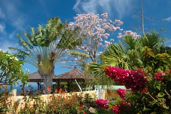 Photo n° 11 of the location