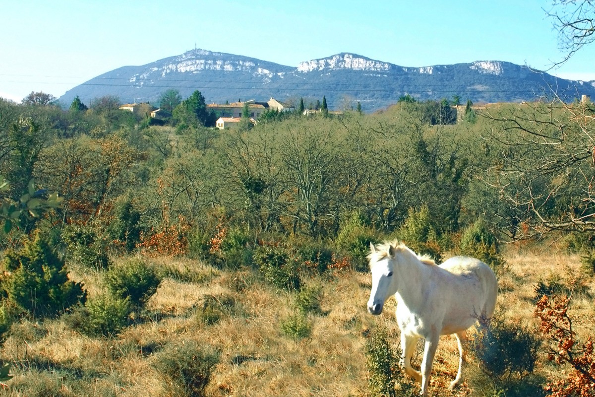 Photo n° 17 de la location