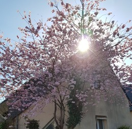 NOTRE MAISON A COTE DE VOTRE LOCATION