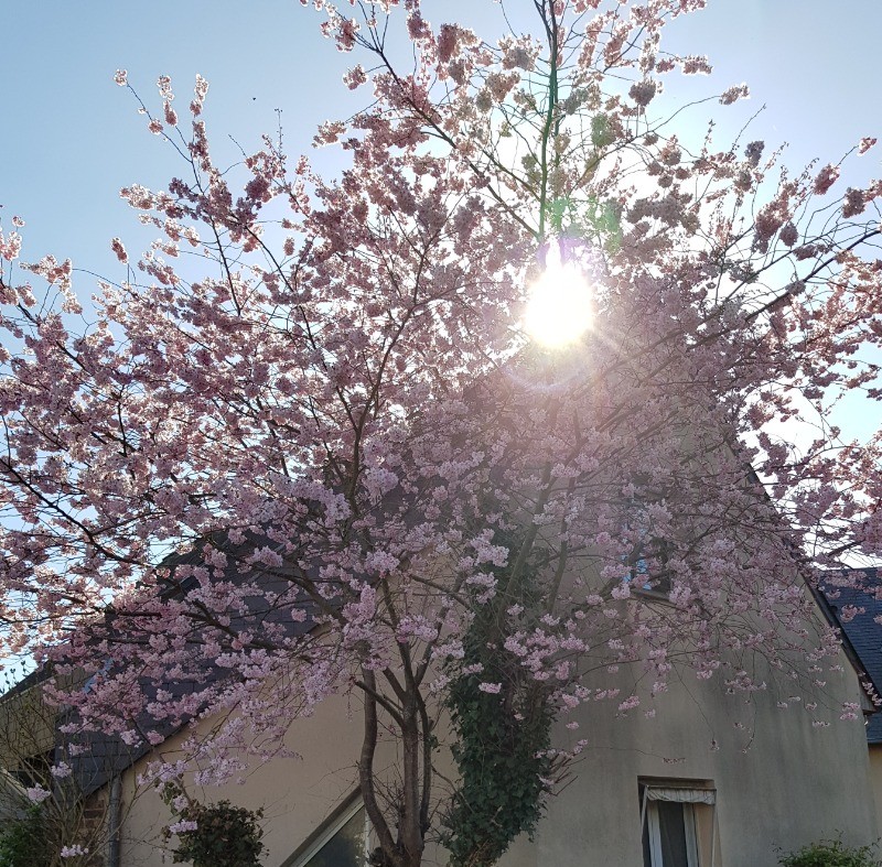 NOTRE MAISON A COTE DE VOTRE LOCATION