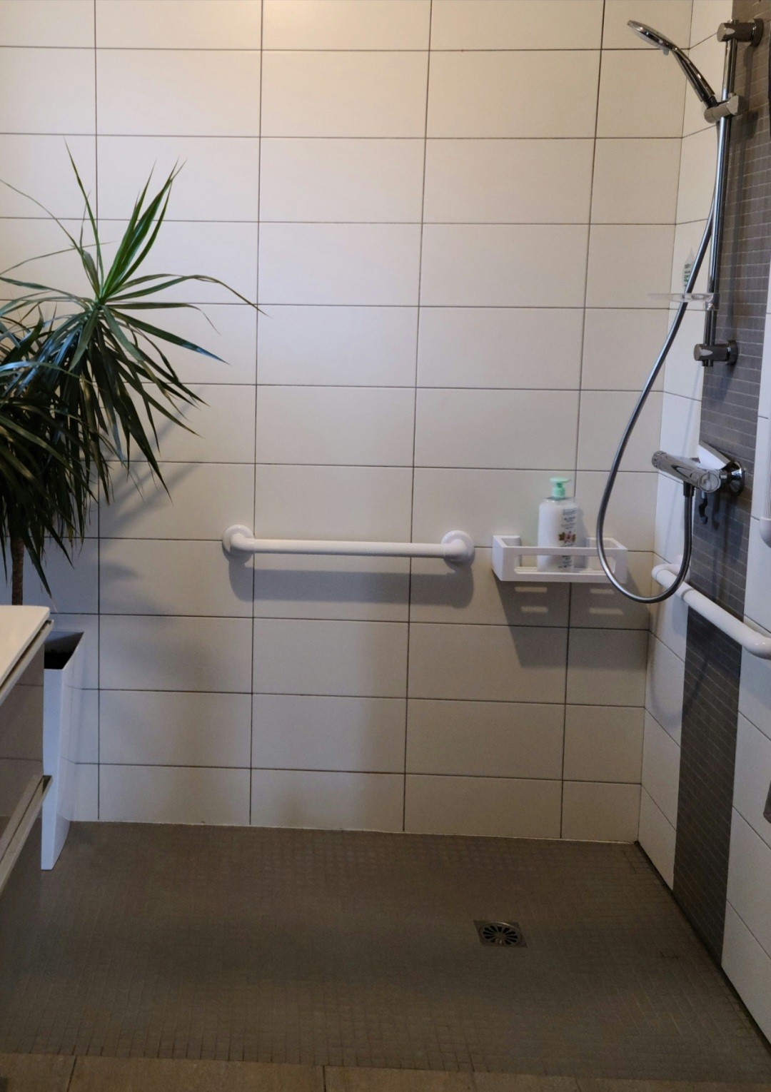 Douche à l'italienne, barres de soutien. PMR.
