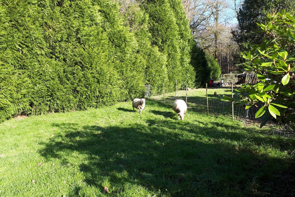 Nos moutons!