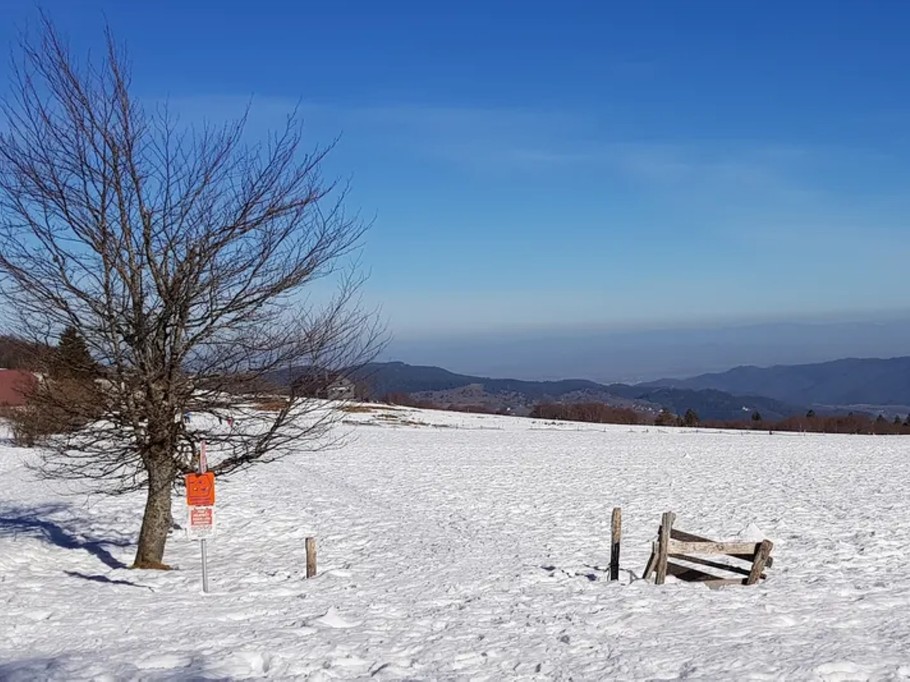 Photo n° 20 de la location