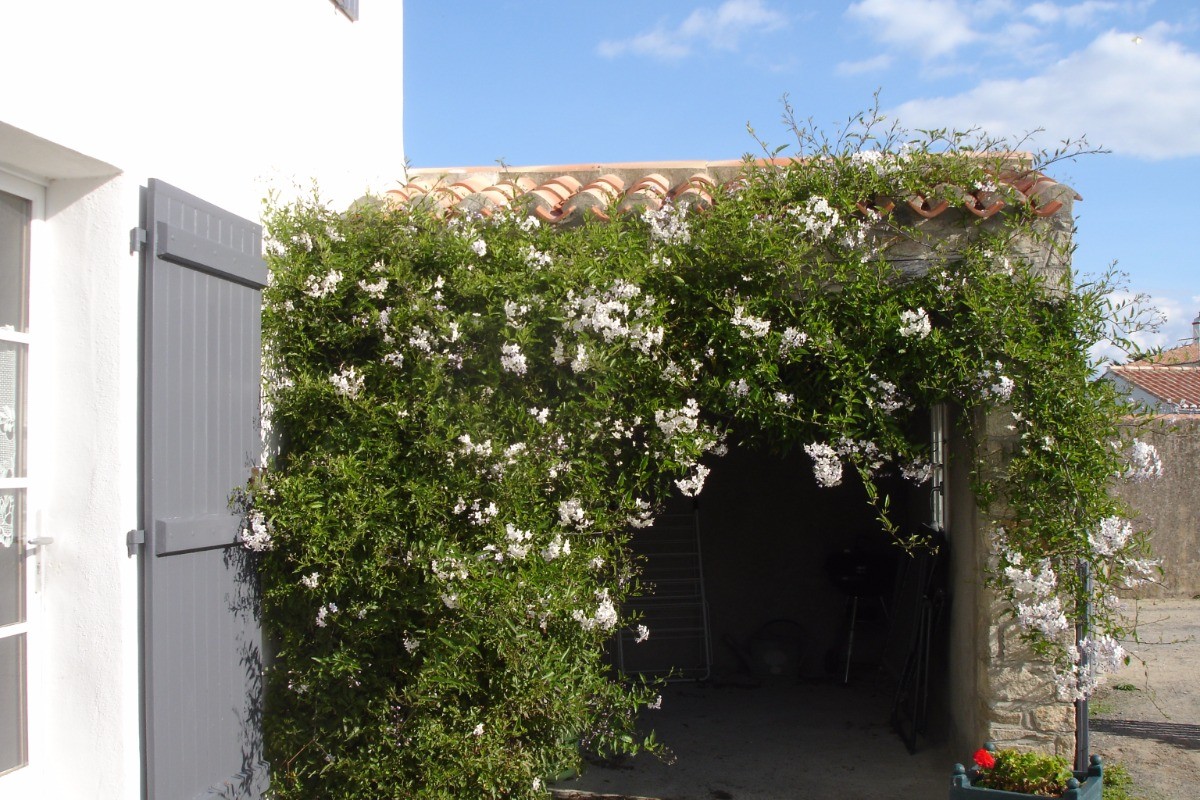 Photo n° 11 of the location