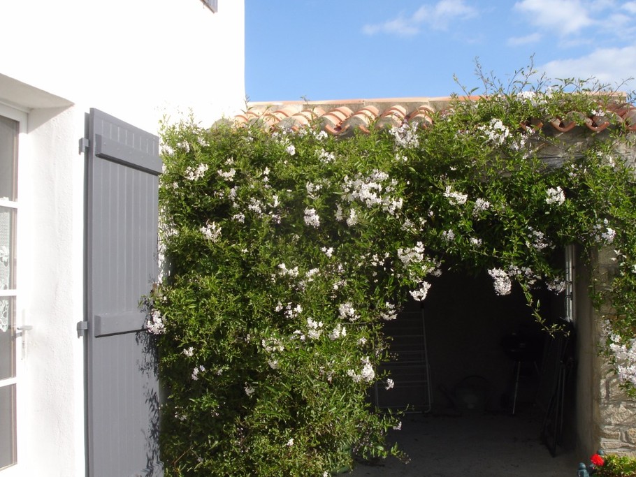 Photo n° 11 de la location