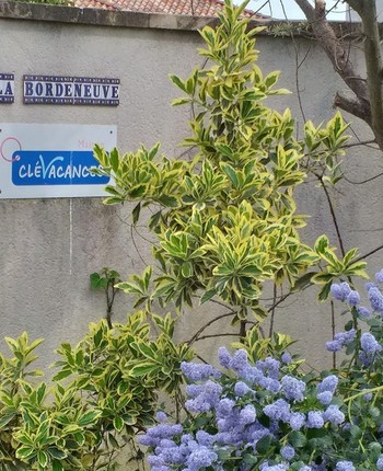 Photo n° 20 de la location