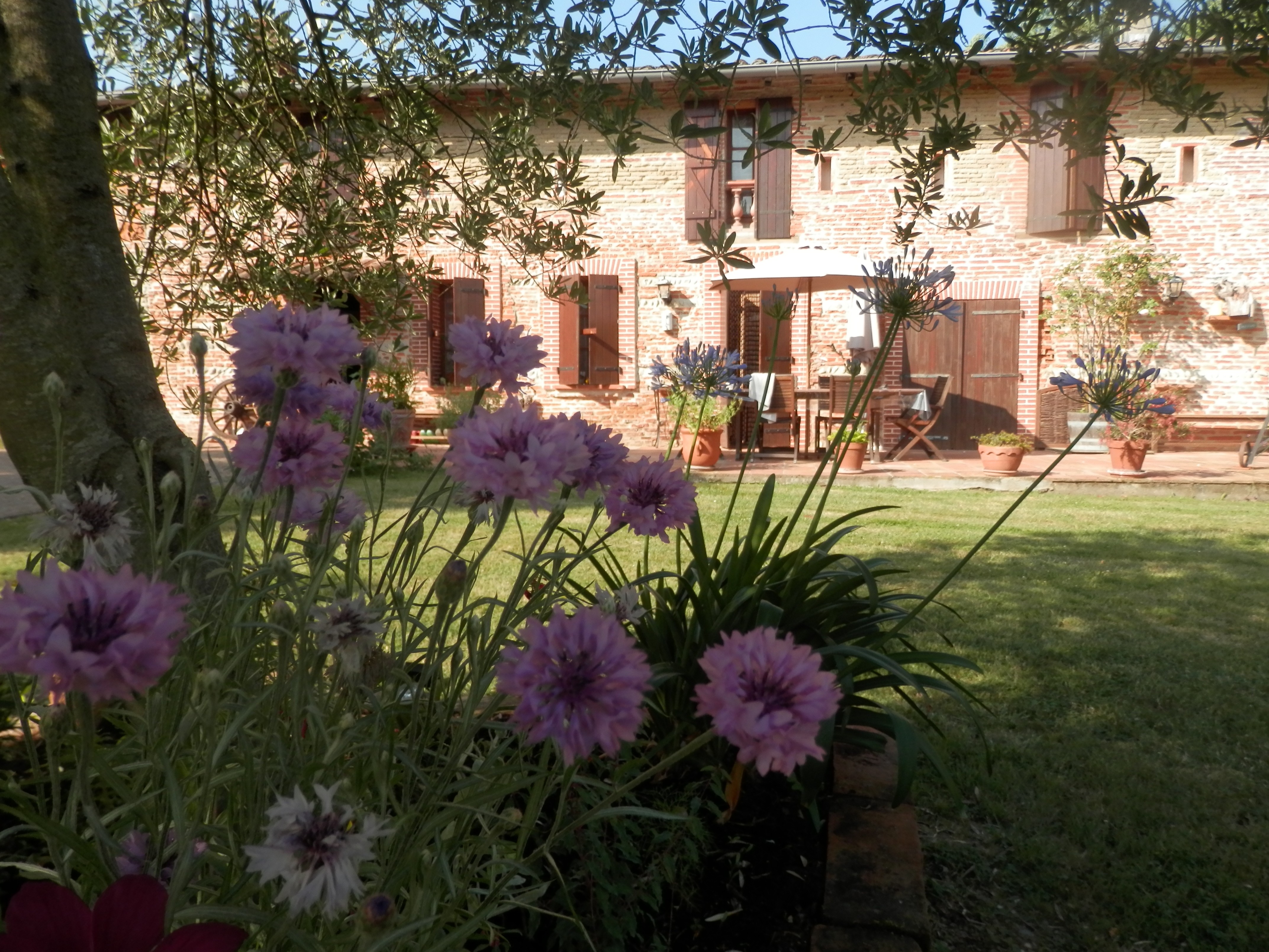 Photo n° 21 of the location