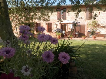Photo n° 21 of the location