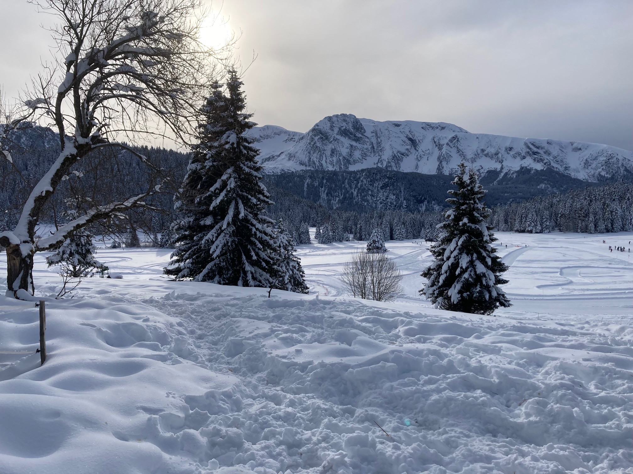 Photo n° 8 of the location