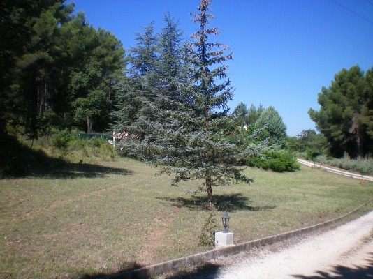 Photo n° 11 de la location