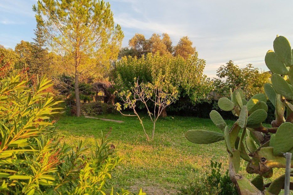 Photo n° 12 de la location