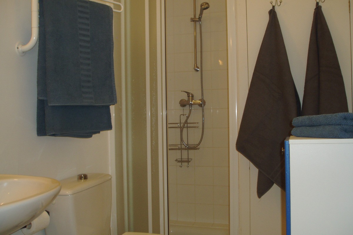 salle d'eau douche - serviettes fournies