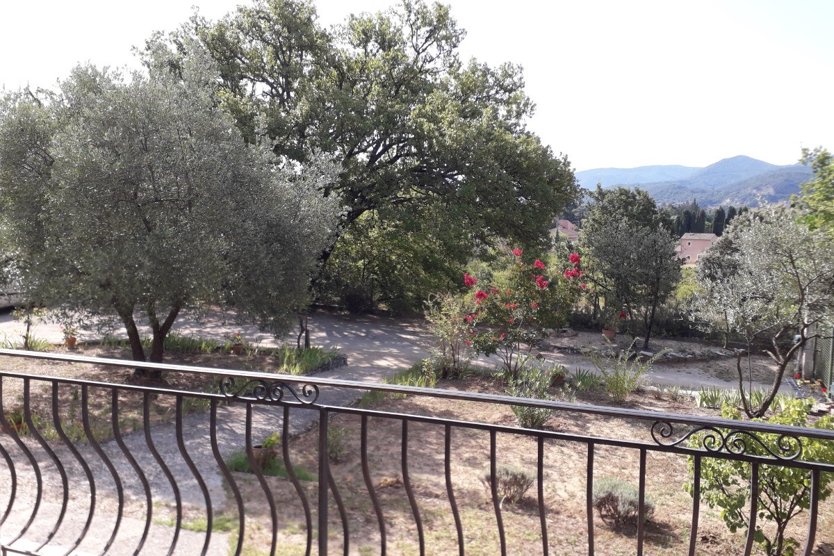 Vue de la terrasse sur la cour