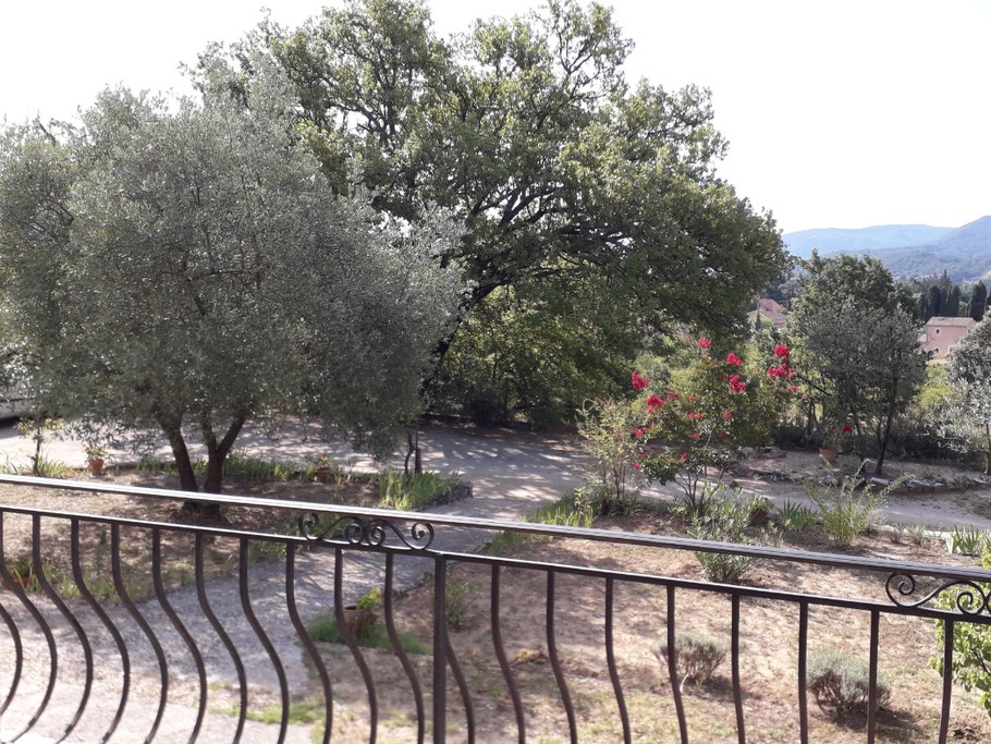 Vue de la terrasse sur la cour