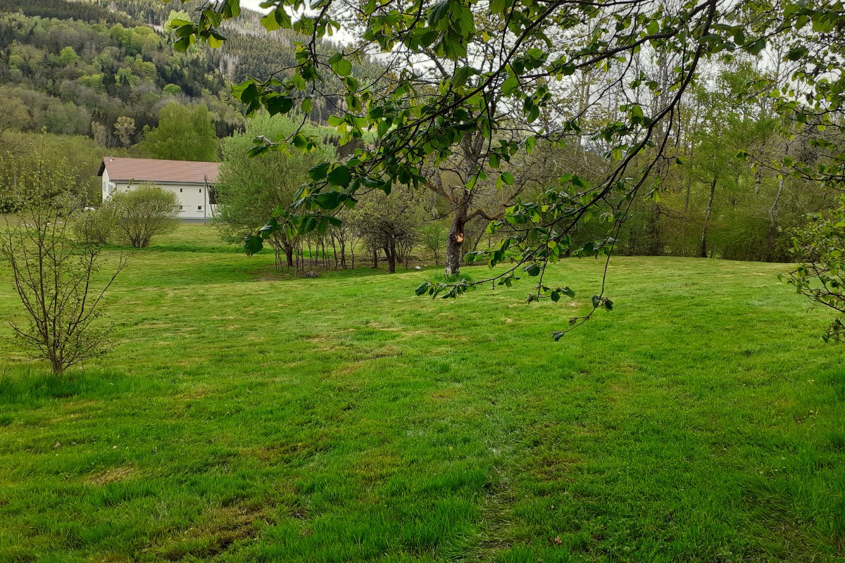 Le parc derrière la ferme 4 hectares, grand espace, nature -Au gîte des Mazes