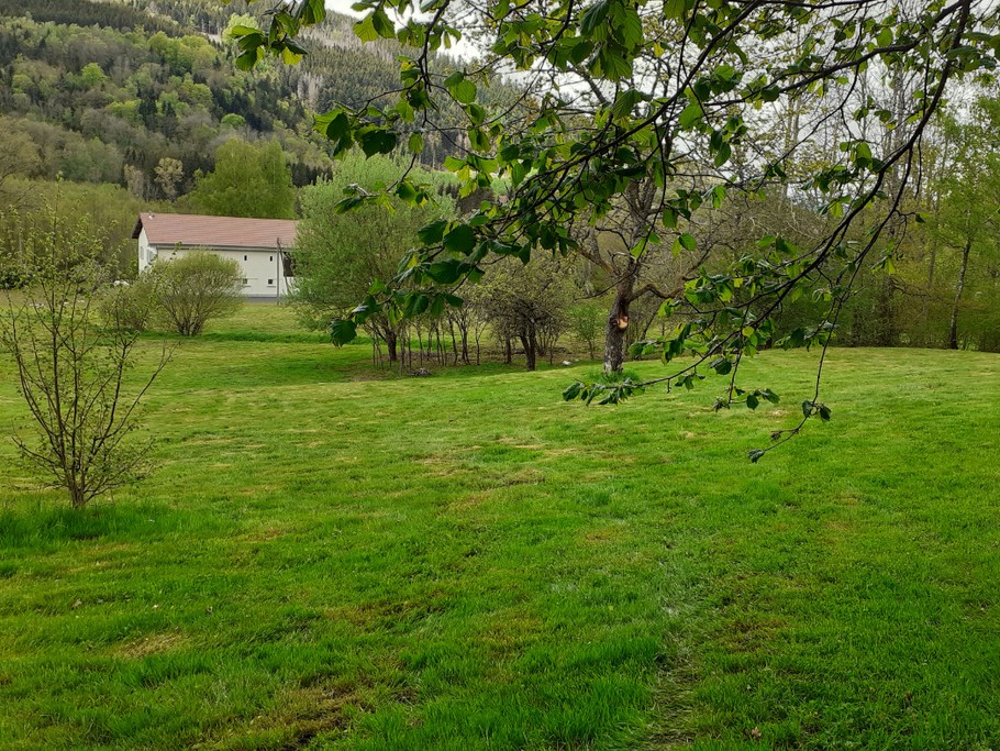 Le parc derrière la ferme 4 hectares, grand espace, nature -Au gîte des Mazes