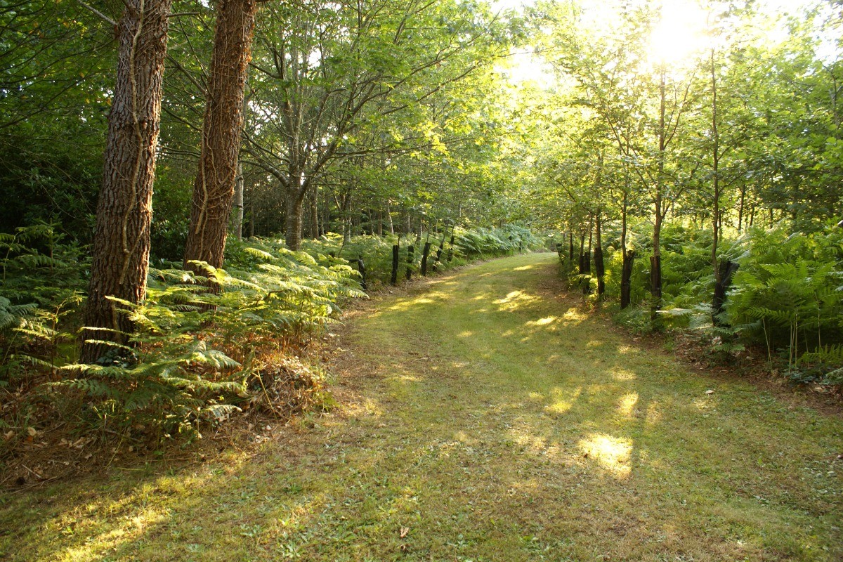 Les Allées du Parc