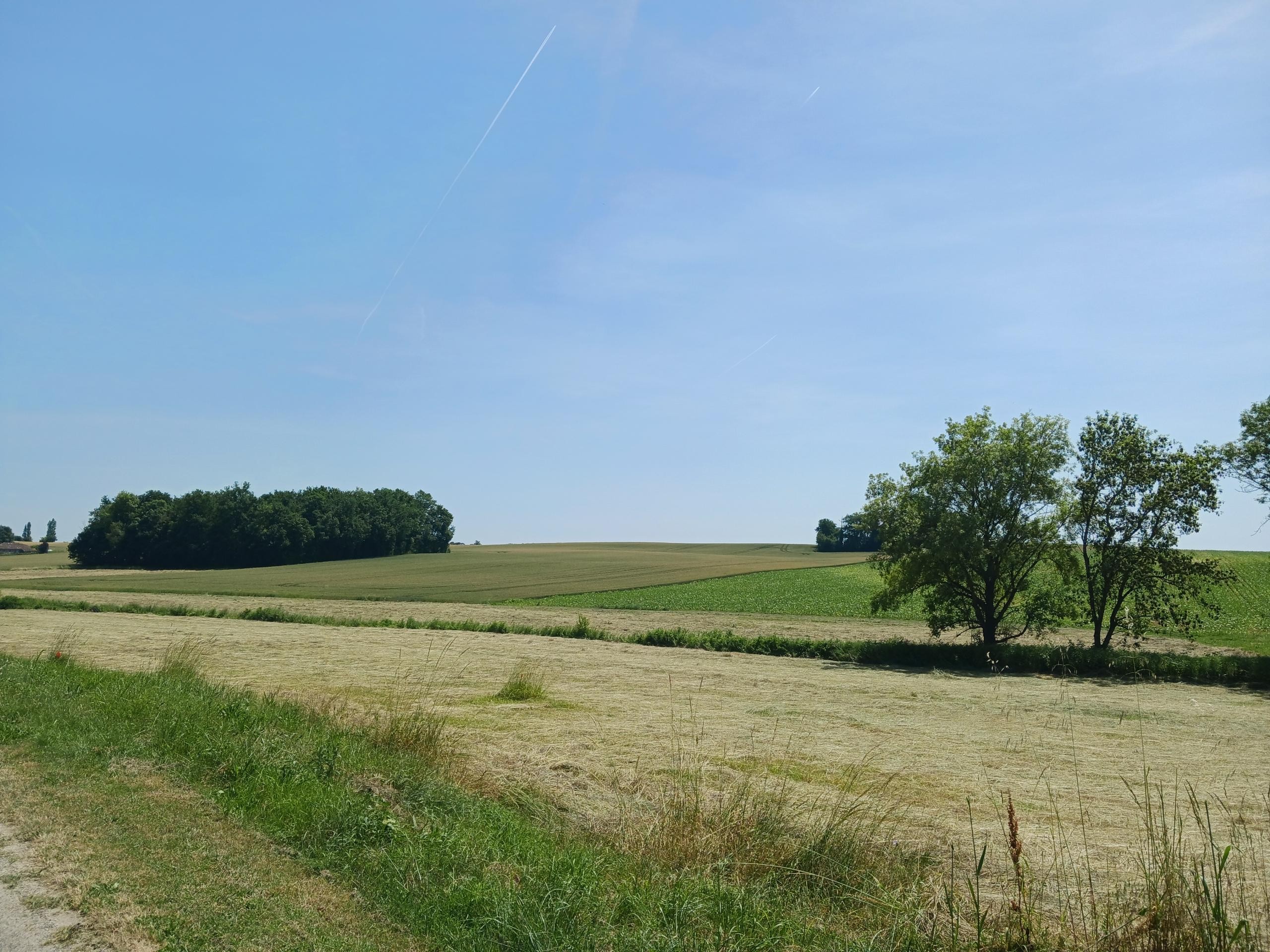 Photo n° 9 of the location