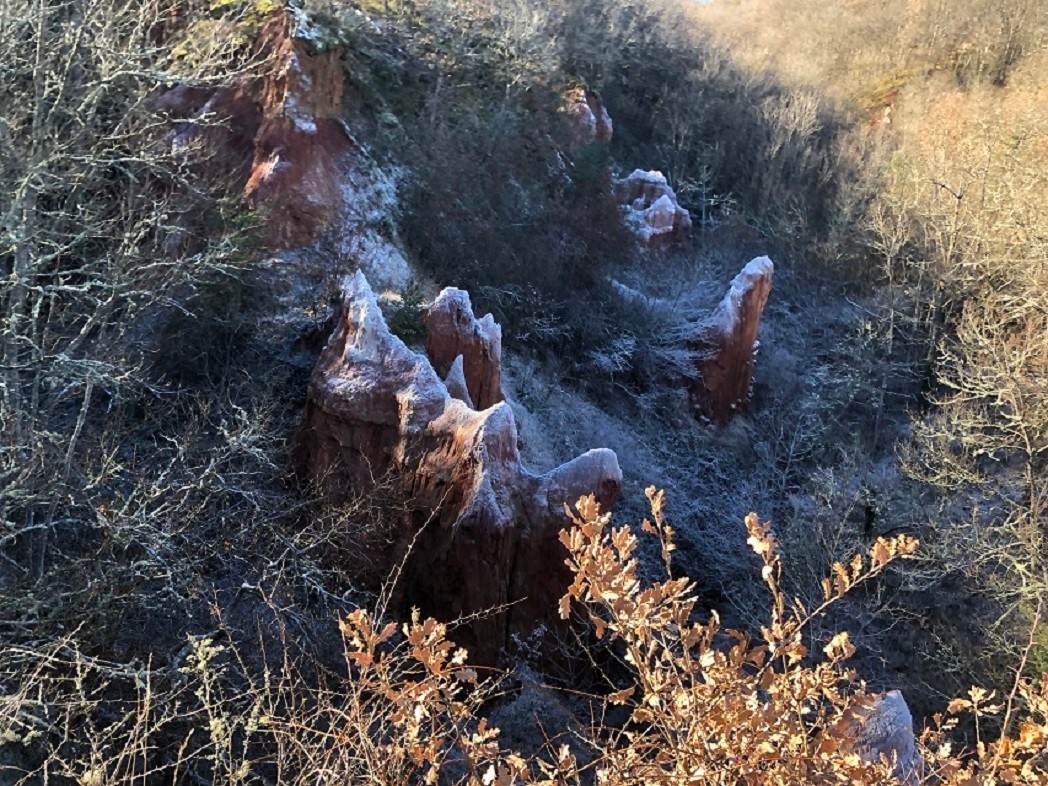 Photo n° 11 de la location