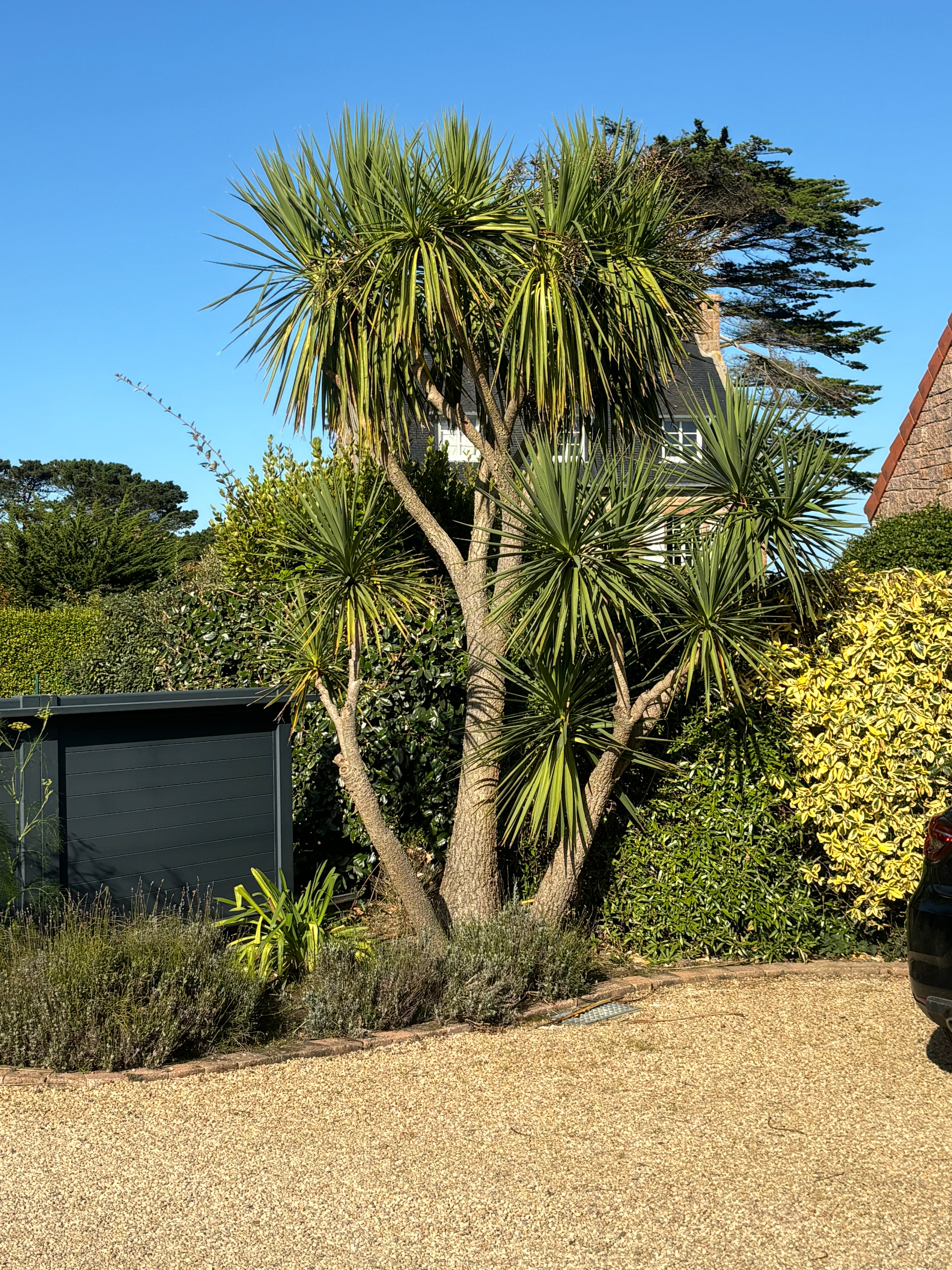 Photo n° 15 of the location
