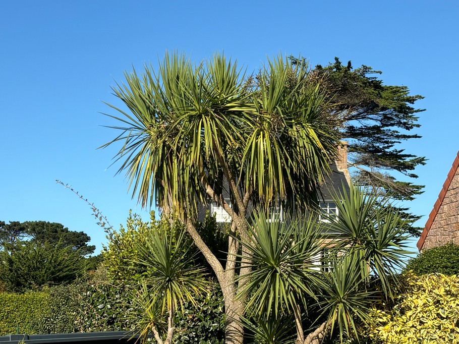 Photo n° 15 of the location