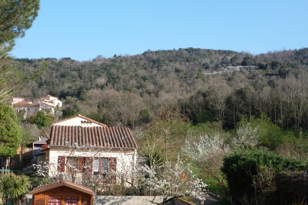 la belle campagne