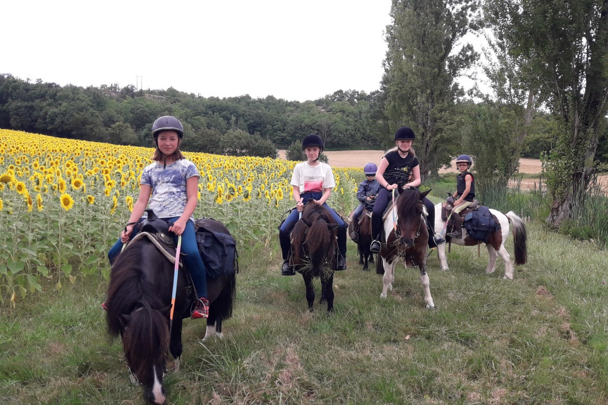 Une balade à poney