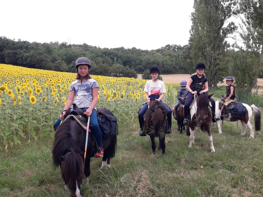 Une balade à poney