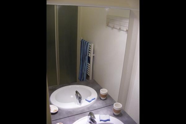 Salle d'eau : vasque, douche, sèche serviettes, sèche cheveux. WC séparé.