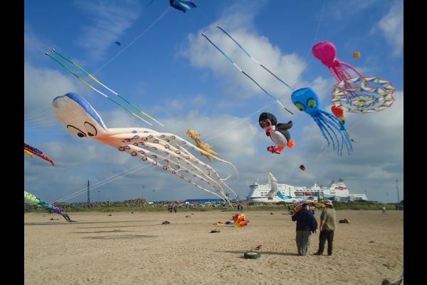 Photo n° 11 de la location